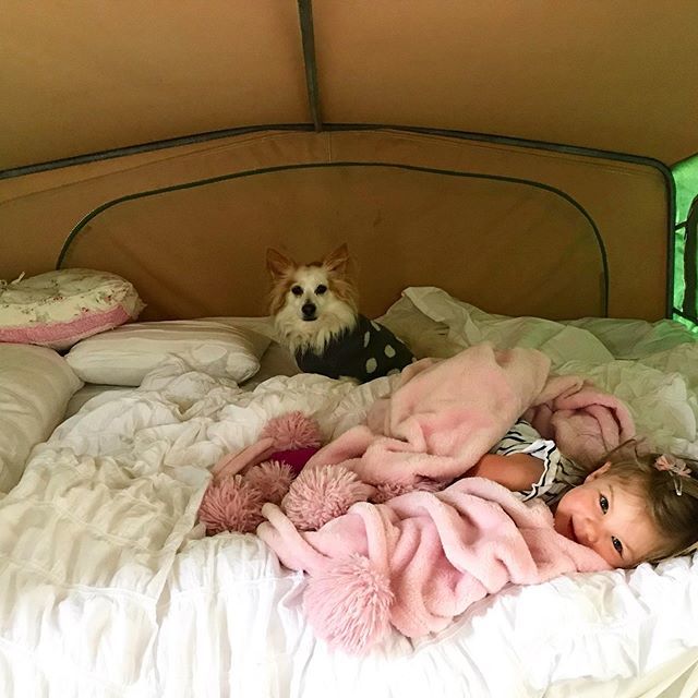 MakingLifeReal's tweet image. Today we moved to Huskisson Beach (Jervis Bay) and as I spent the two hours packing up this morning and getting ready to leave I felt a twinge of sadness. The people we have come to know and the familiarity we got from only 9 days at Dalmeny became our c… bit.ly/2WtgUZU