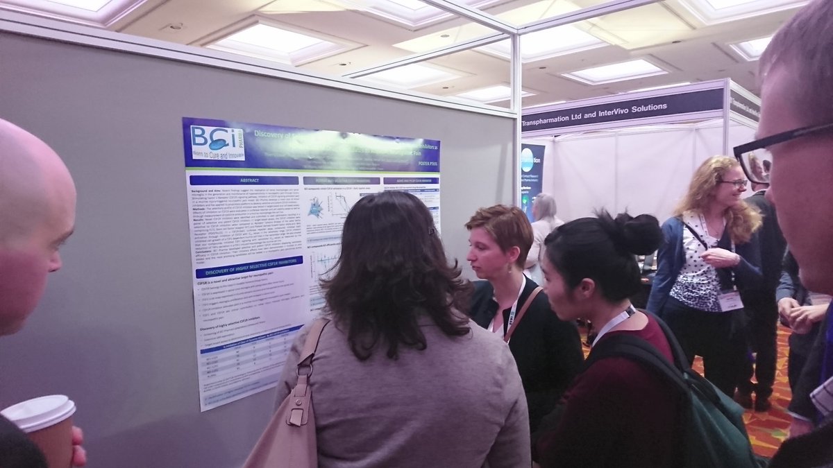 BCI_Pharma's tweet photo. Our poster on efficacy in neuropathic pain animal model (selective CSF1R Inhibitor) brings a lot of visitors and discussions https://t.co/PCX5PSBXh4