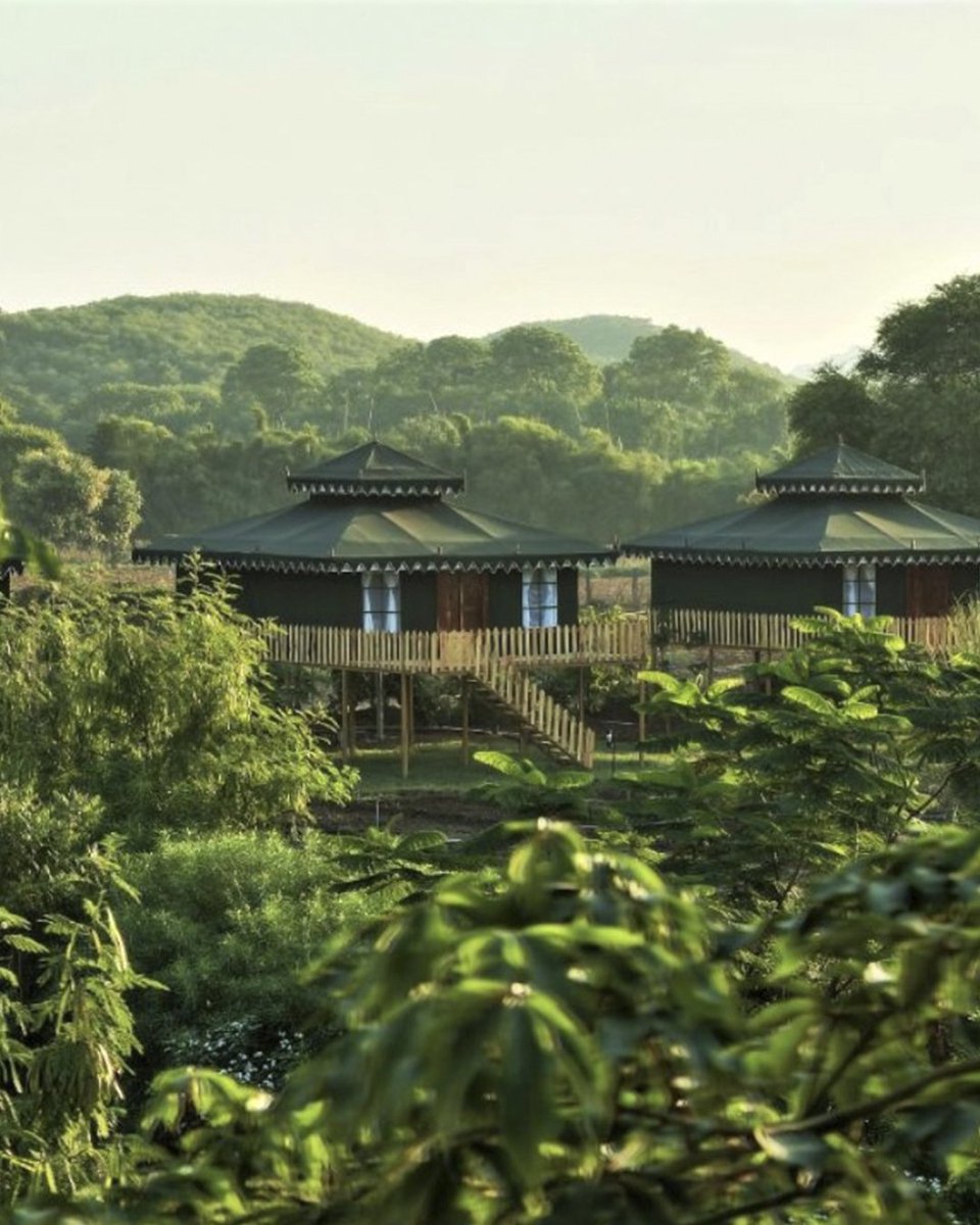 Wander_Trails's tweet photo. A stay at an Ultra Luxury Machaan, Theme Dinners, Horse Riding, Ranthambore Jungle Safari etc These are some of the awesome things that are a part of your stay at this tented resort in Ranthambore. #travel #resort

Click the link to know more :)
https://t.co/VZVnEk1zvQ https://t.co/9gg4rwrvnM