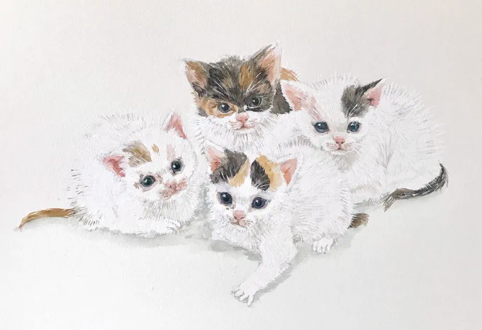 普段描いてる創作絵の宣伝でもしよう
デザフェス5/19にも出展するので遊びに来てくださいな。場所はE-159です
創作アカ→@nakinoya 