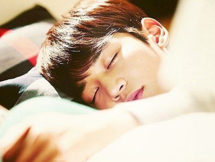 корейские спящие