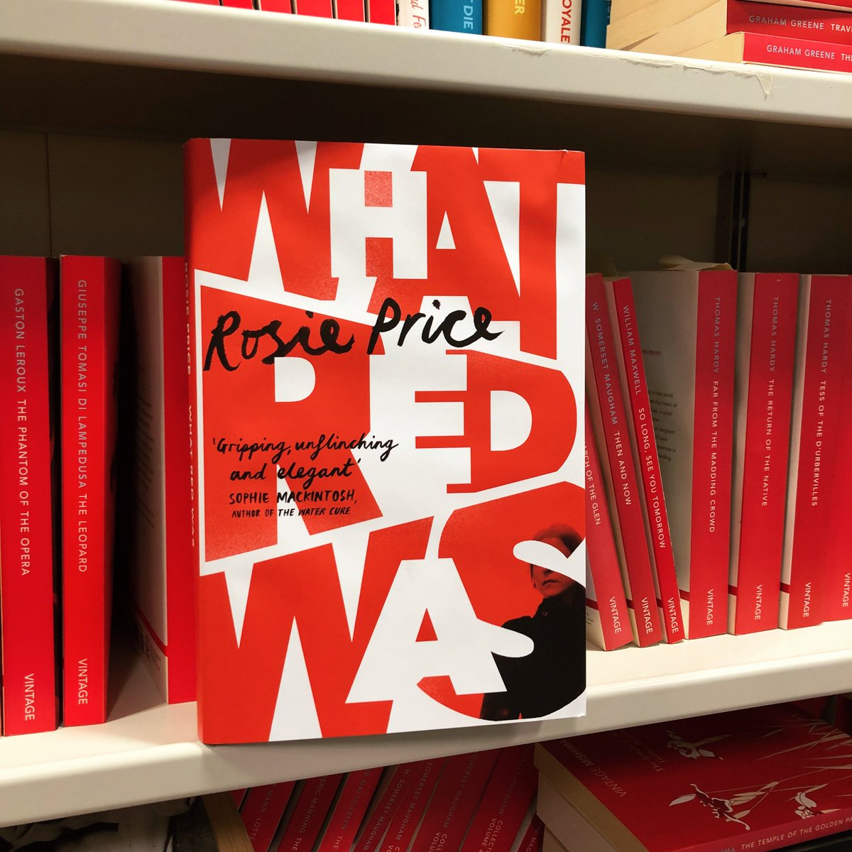 harvillbooks's tweet photo. 🔺Happy publication day to a very special debut novel: #WhatRedWas by Rosie Price! 🔻[Here it is in good company @vintagebooks #red #redspines 🥰] https://t.co/IbE8RSbHwm