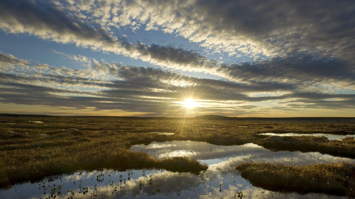 Scenic Shots tweet media