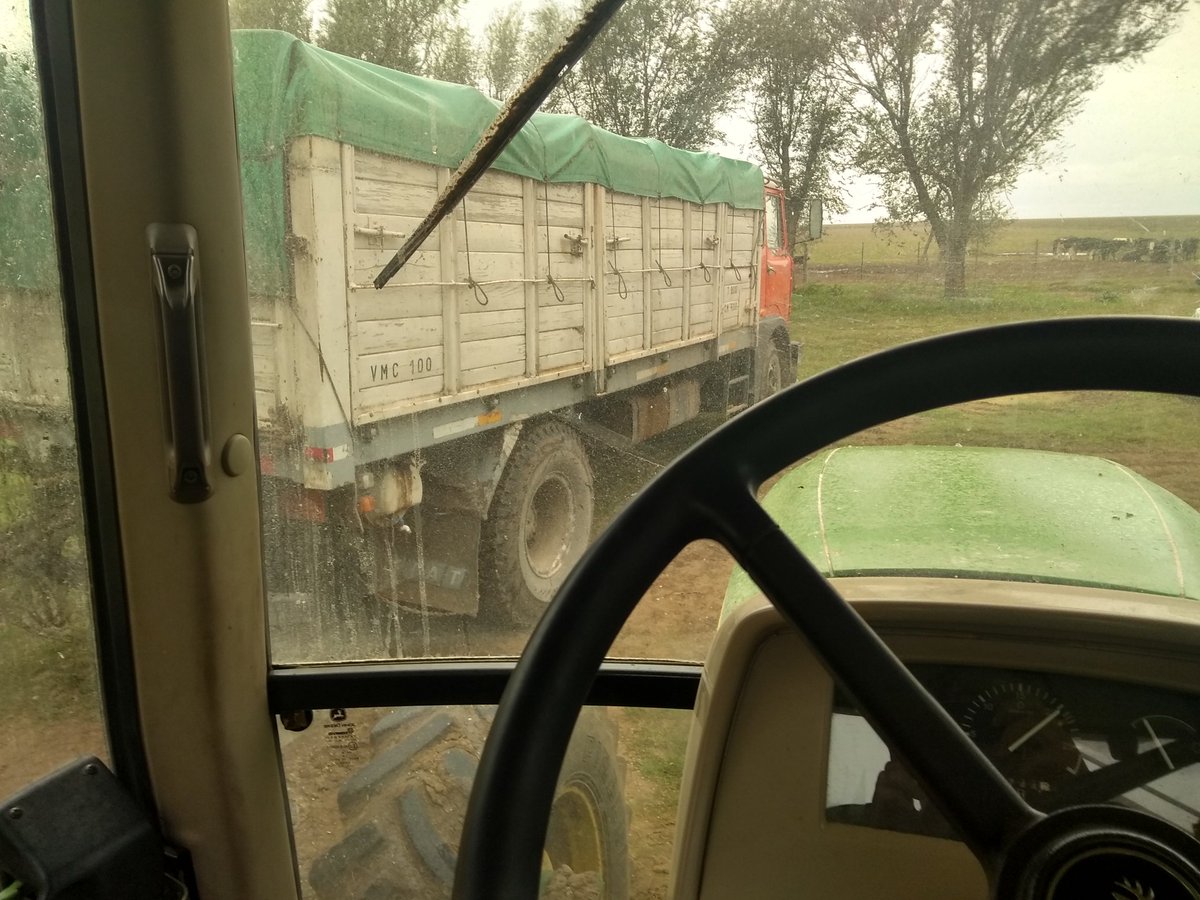 jonagastaldi155's tweet photo. #liquidando
Con frío y Llovizna se detiene la cosecha de #soja y sale el #Trigo del silo. 💪💪.
#elcamponopara https://t.co/5oKWJ3nZvQ