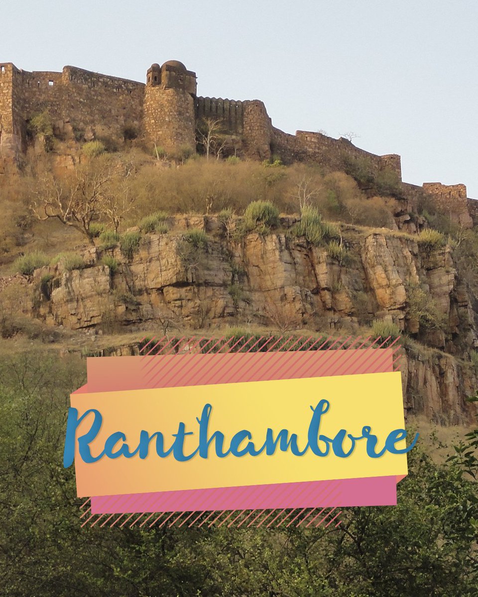 Wander_Trails's tweet photo. Ranthambore is a peaceful destination and is for those who love nature and love to spend some quiet time in it. Our set of experiential stays and activities here help you truly experience the place. #experience

Click to know more! 
https://t.co/xQTVF9H6Mr https://t.co/4aeh9SH0pT