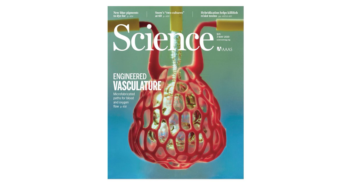 RiceUniversity's tweet photo. ICYMI: Bioengineers are on the path to 3D printing replacement organs.

The latest issue of @sciencemagazine features a breakthrough technique for bioprinting developed by Rice bioengineer Jordan Miller and colleagues: https://t.co/fDcmo6RJMU https://t.co/RZeJoUXNkU