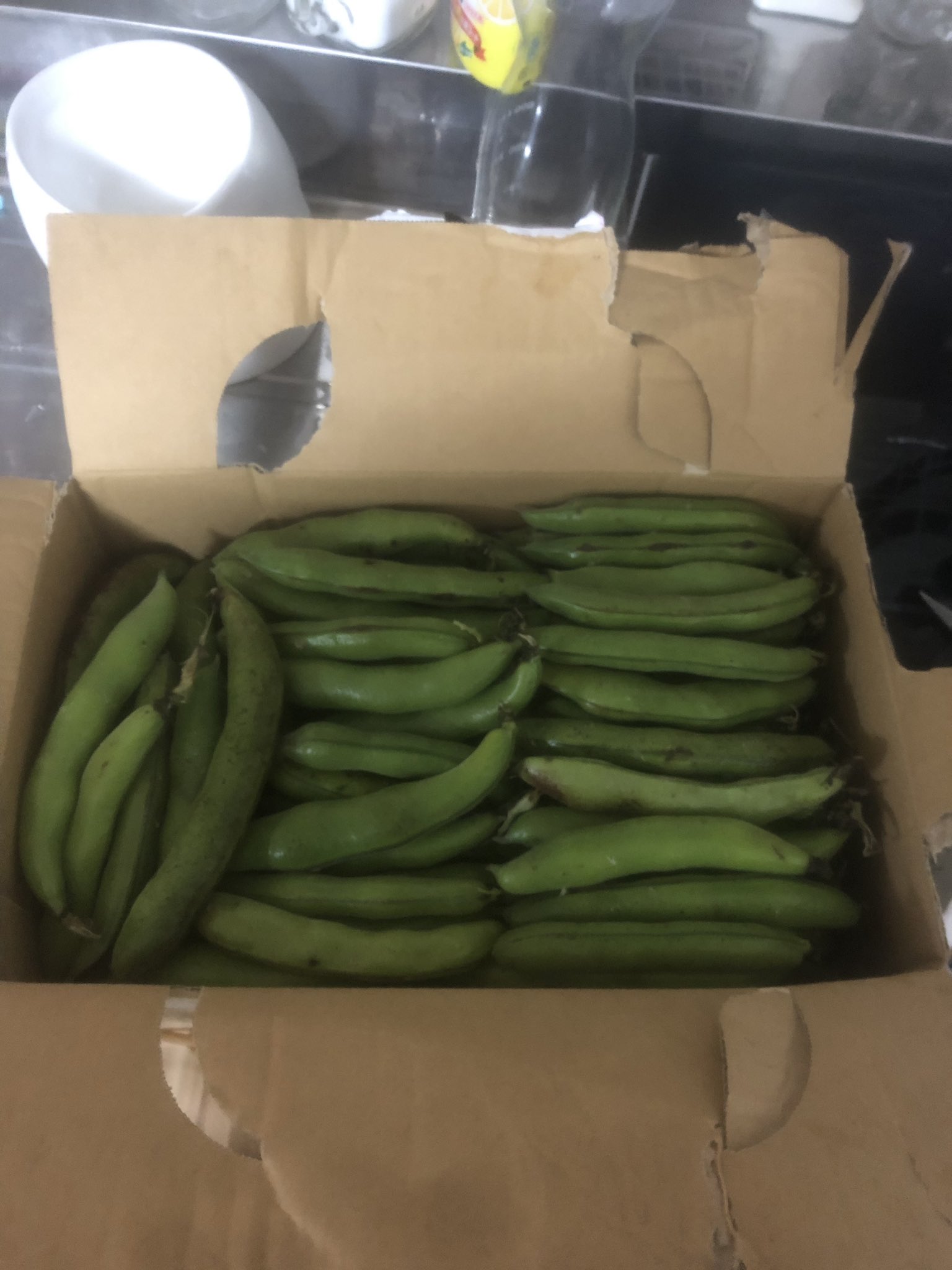 Anon Ride Life 埼玉の実家からそら豆が 大量に 密輸レベルですやん 千葉 埼玉 静岡という遠距離お裾分け感は否めないなぁ そら豆 大量 足の匂いに似てる T Co Otjx3zp0gn Twitter