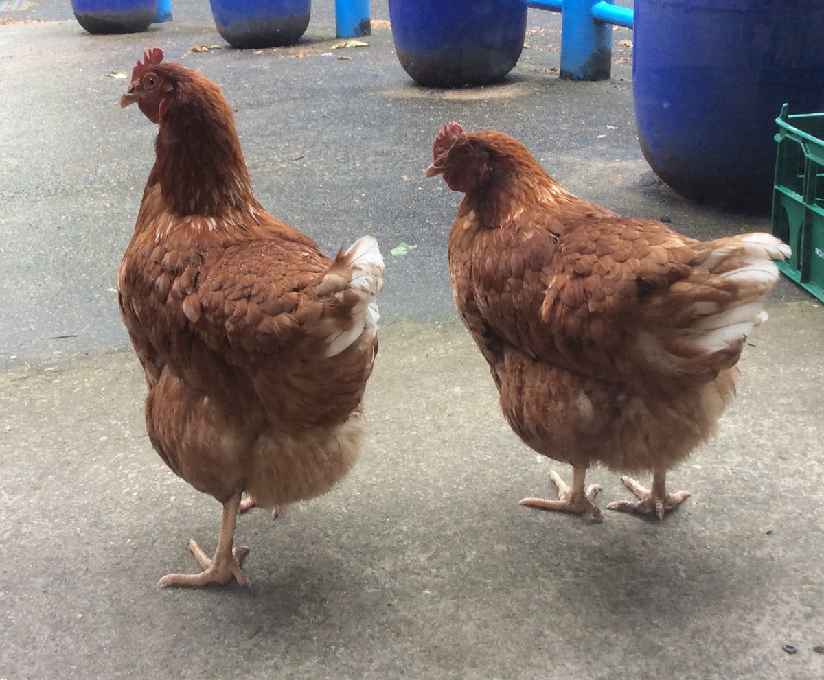 We have had John Hunt Photography in today - then another two visitors came to the front door - presumably to get their photos taken - we have obliged! #happytooblige #happyschool #allwelcome