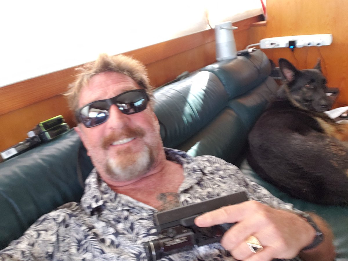 officialmcafee's tweet photo. First time I've been alone in 21 years. I've been surrounded by security most of my life. Today, I sent everyone on errands, with much argument on their side. And for at least an hour it's just me and my dogs. Anyone want to try me? https://t.co/iflxIJDZtw