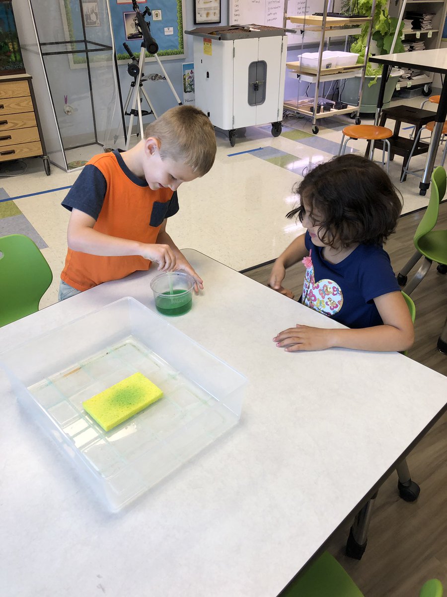 Mrs. Blankenship’s K meteorologists making predictions and learning about precipitation. How many squeezes do you think it will take to make our cloud rain? @msjacksonenviro <a href="/LHECMES/">Lincoln HeightsECMES</a> <a href="/MaryBarclay13/">佳多饱 宝儿茹 一二意 古阿扎 乙醇子</a>