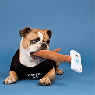 WestJetDog's tweet photo. Q: What does a dog and a phone have in common? A: They both have collar I.D. #CliveBeddoe’s favourite dog joke is about as funny as #WestJet calling their passengers “guests” https://t.co/hL53cCEM49