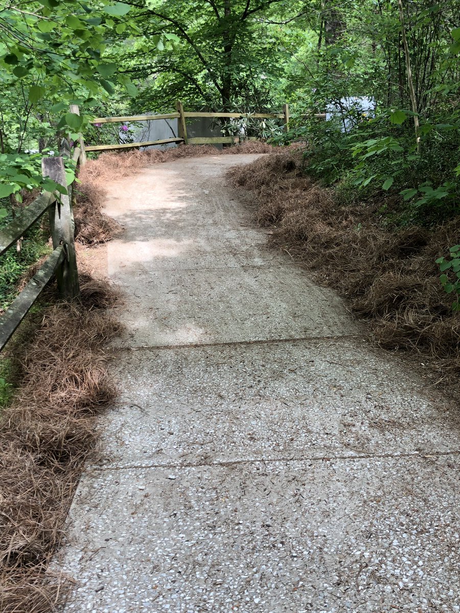 HCPSNC's tweet photo. @Dana_Elementary 2nd graders are spending the day on #servicelearning projects at @CarlSandburgNPS thru the @NatParkTrust #BuddyBison Program-which provides environmental ed in parks, public lands &amp; waterways, emphasizing #STEM, the arts, outdoor recreation, &amp; #conservation. https://t.co/mWmwB65aRG
