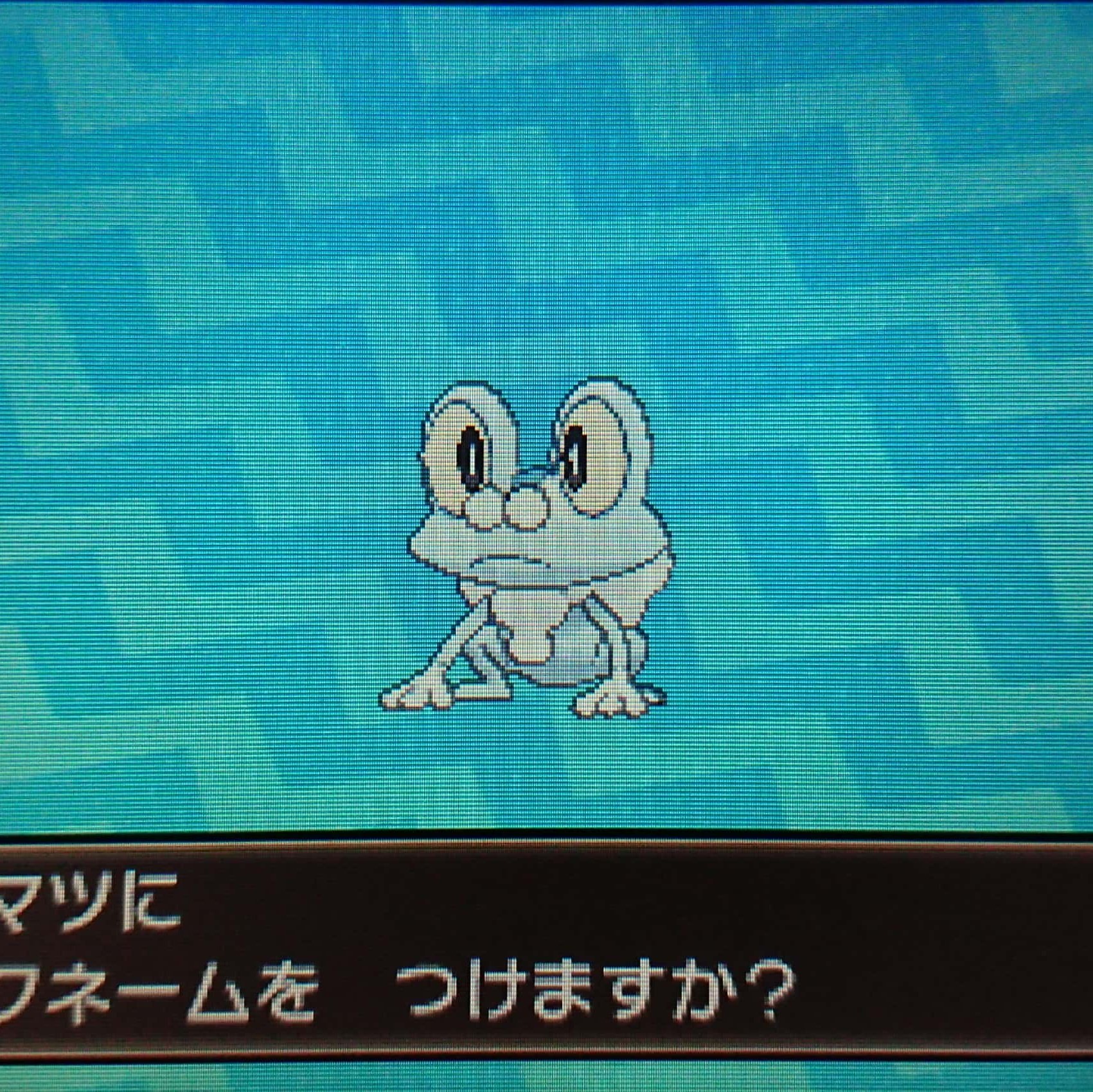 くまぼうし 孵化報告 色違いケロマツ 699匹目で誕生しました 色違いケロマツは色が薄く 雪を彷彿させる色合いです 見た目は氷タイプ ボールはゲッコウガに似合うムーンボールを選択しました ゲッコウガになるとカッチョよくなるので楽しみです