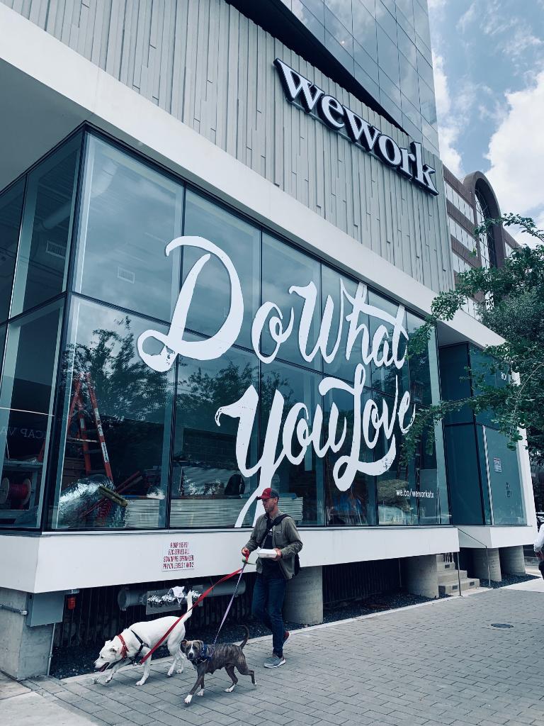 WeWork's tweet photo. Spotted in front of WeWork Barton Springs, Texas: #dogsofwework. 🐶 🐶 #weworkaustin 📷 @ZachareeTaylor https://t.co/RRpYU3AdGq