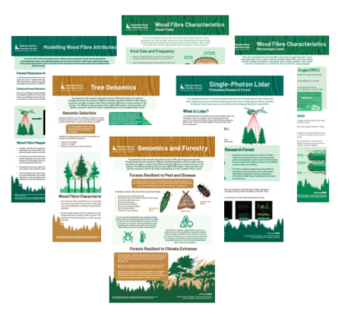 CIF_IFC's tweet photo. Check out our new bilingual #forestry #infographics that cover a range of topics including #genomics #enhancedforestinventory #lidar #woodfibre chracteristics #forestpests and more! https://t.co/DXrJ2Sxqsm https://t.co/cwZkgzruVS
