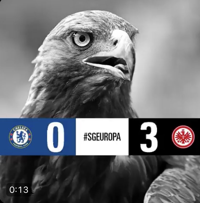 Media Tweets By Marcus Podorf At Kreativer Twitter