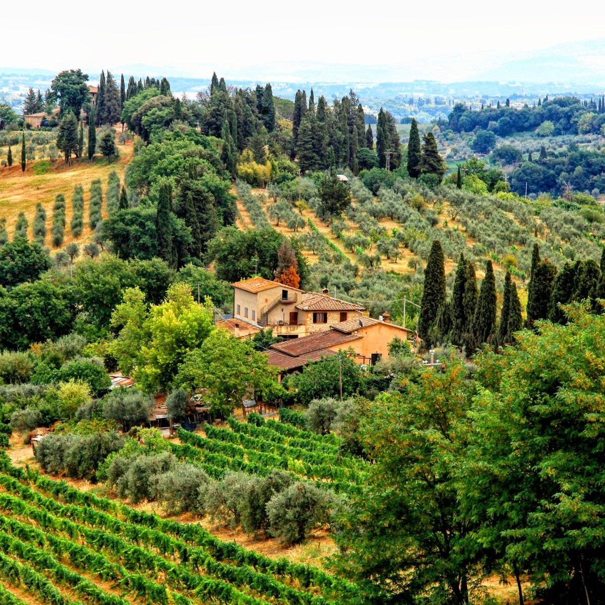 Rolling hills, country villas and an abundance of wine… Tuscany really is a slice of heaven. 🍷#wineoclock #winewednesday #wherewewander