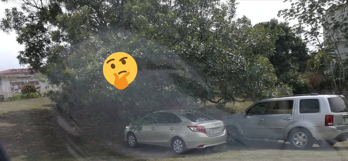 alconpty2015's tweet photo. Ojo cada día más autos invadiendo áreas verdes en Clayton y las autoridades? @ATTTPanama @ClaytonPanama @raisabanfield @CSSPanama @NitoCortizo @Traficologo1 @tvntrafico https://t.co/BN8envuvi7