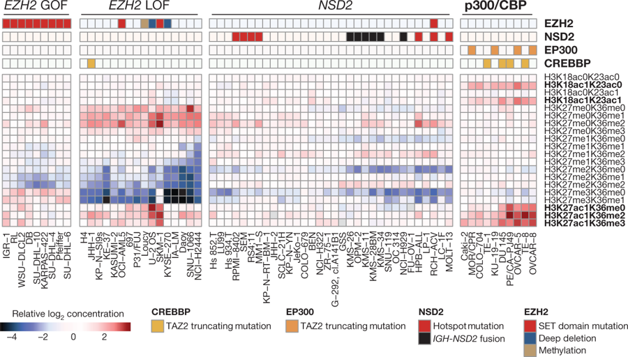 mmw_lmw's tweet photo. #Cancer_Cell Line Encyclopedia | Next-generation characterization | Global chromatin profiling | William Sellers @NovartisScience @nature https://t.co/BTiEj9uS08 https://t.co/BSYLR3UzR4