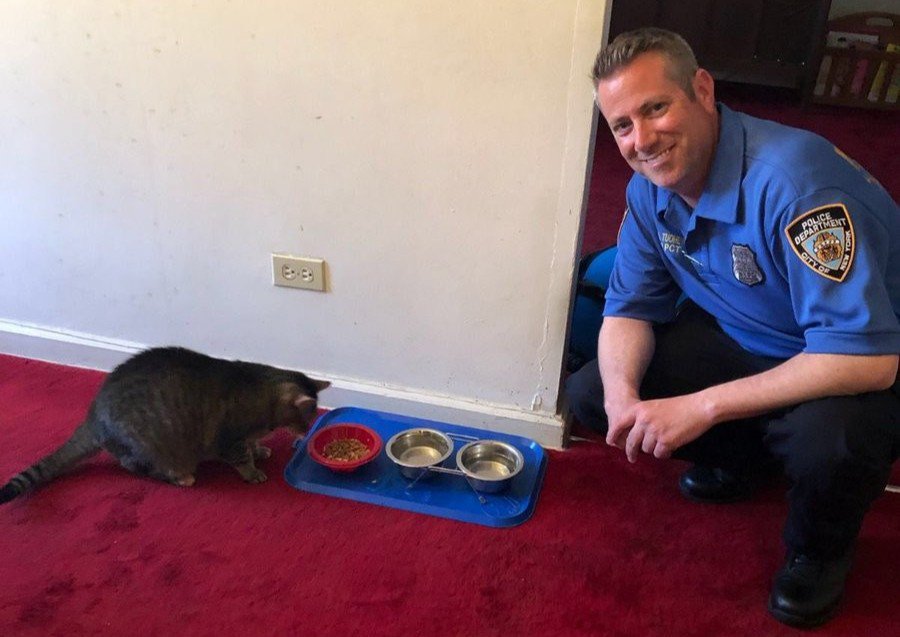 Community Affairs officer feeding a cat.