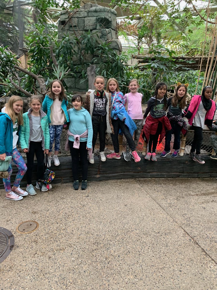 MsMeglindsay's tweet photo. Zoo field trip! Perfect field trip for our unit and animal variations and adaptations! https://t.co/dIoWhUKZAj