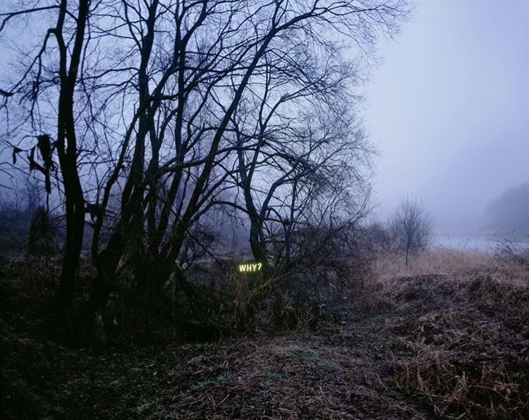 exhbtart's tweet photo. Neon words and barren landscapes, installation and photography by Jung Lee. #art #photography #junglee https://t.co/Nt0H5rIWhJ