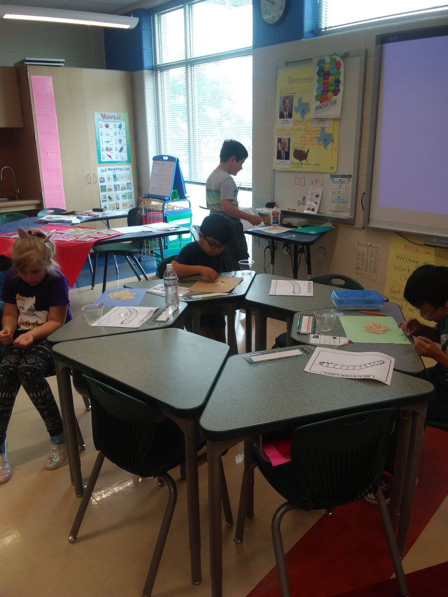 MelodyBurge's tweet photo. We are starting our Mealworm Life Cycle unit and we are very excited!!!
#learningisfun 
#neisd 
#Science https://t.co/dgQcQdMgnw