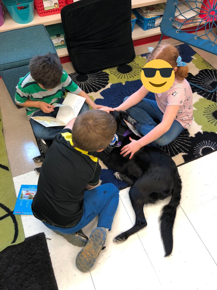 MissMonighan's tweet photo. Reading with Rory! #therapydogs #bearsba #readingisfun https://t.co/5iOAlfqO5w