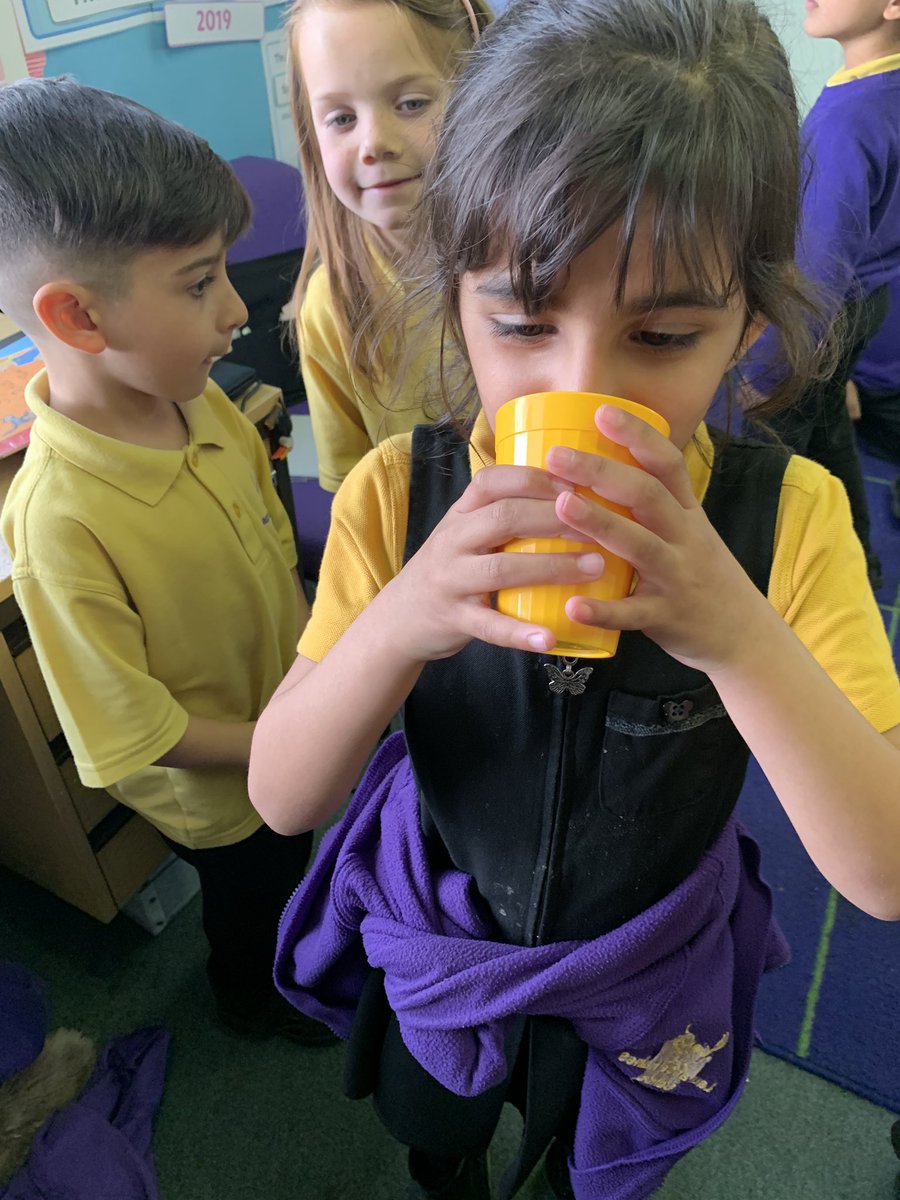 miss_lhs's tweet photo. Elm class tasted foods that grow in the rainforest today. Coffee and dark chocolate weren’t many children’s favourite, but we loved the banana smoothies! It was interesting to learn about how they grow and get from the rainforest to our plates @HeadLHS @LHS_Watford @MrsBygraveLHS https://t.co/ptVVYGSV1c