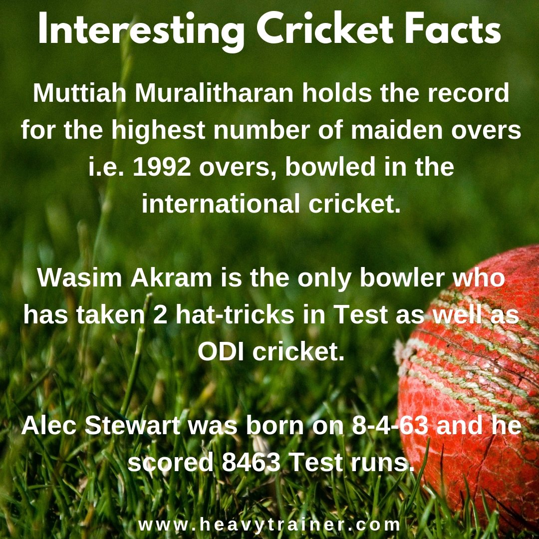 The Heavy Trainer tweet media