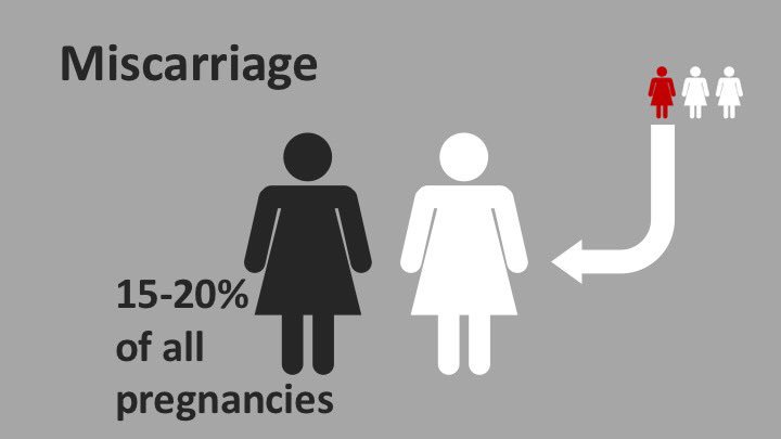 EM Ottawa (@emergmedottawa) on Twitter photo It is quite clear a gap exists in the quality of care provided to those experiencing early pregnancy loss. Dr. <a href="/leorcarroll/">Leo Carroll</a> provides an incredible summary on how we can do better by these patients. A MUST read for all primary care providers: emottawablog.com/2019/05/early-… It is quite clear a gap exists in the quality of care provided to those experiencing early pregnancy loss. Dr. <a href="/leorcarroll/">Leo Carroll</a> provides an incredible summary on how we can do better by these patients. A MUST read for all primary care providers: emottawablog.com/2019/05/early-…