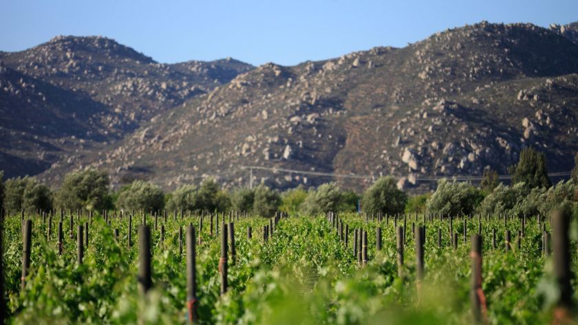 NowridP's tweet image. #BajaCalifornia #tourist #Regions #US #Followme #nature #naturephotography