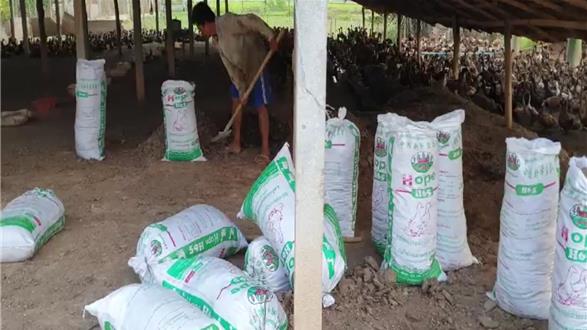 Graphickh1's tweet image. អាចម៍ទាកំពុងត្រូវប៉ាន់ ខណៈប្រជាពលរដ្ឋងាកមកប្រើជីធម្មជាតិជាជាងប្រើជីគីមី api.tnaot.com/article/video_…