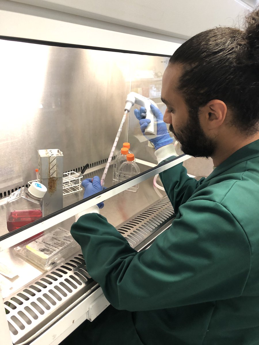 SIPBS_Strath's tweet image. Our researchers Moa and Rachel hard at work on their respective projects on pharmacology and drug delivery. X💊🧬🧫🔬🧹🧪