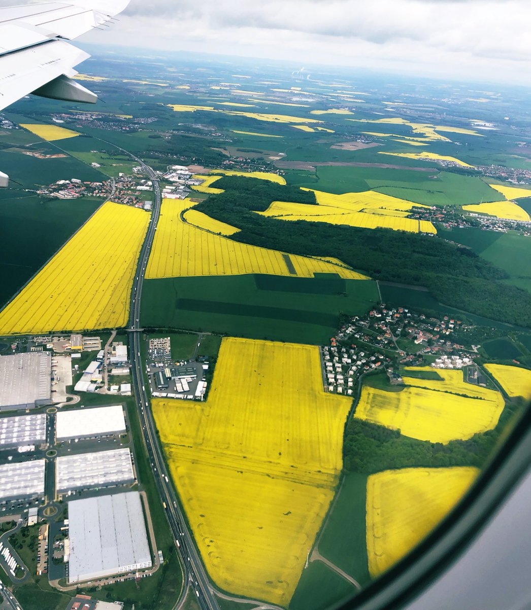 GavendaJaroslav's tweet image. Člověk hned pozná, že už je zpět doma. #řepka