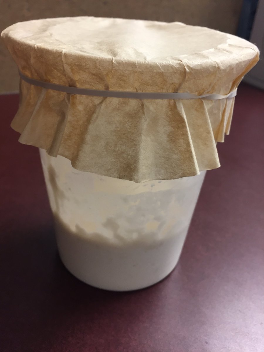Asfeld1's tweet photo. CHEF 1-  Can you believe it? We captured wild yeast to make a sourdough starter...
@BurnsvilleHS
@ISD191
#one91 https://t.co/n1DnFlbsO1