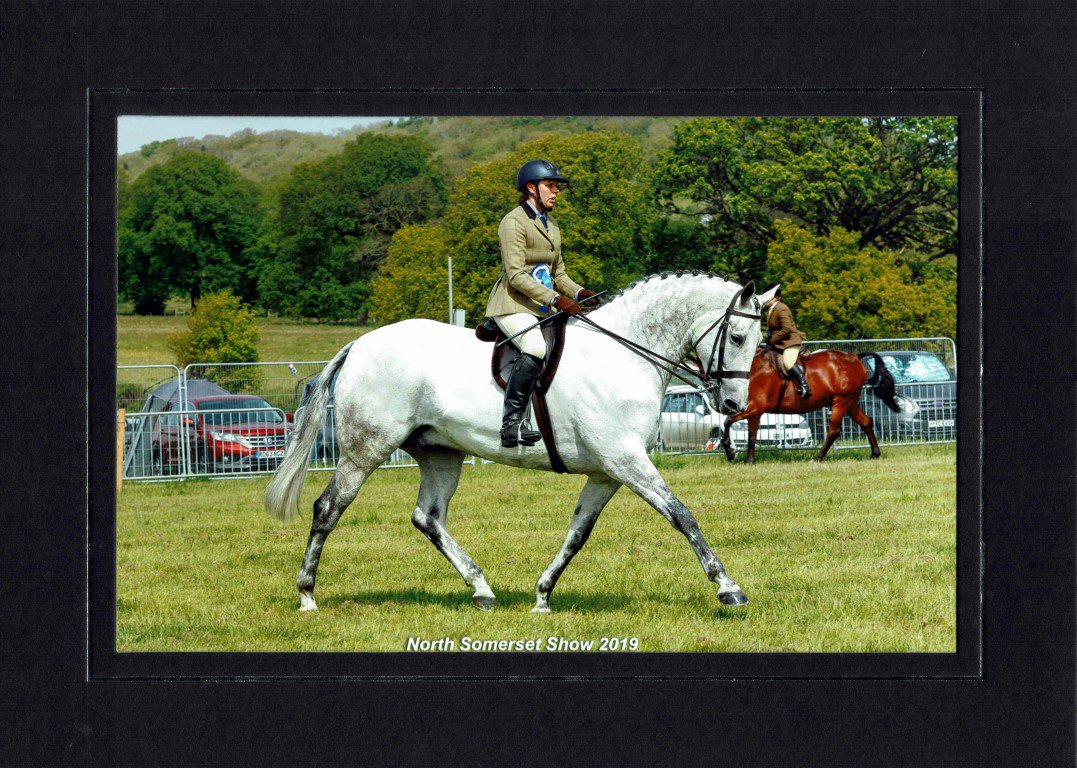DennyImages's tweet photo. Great day at #NorthSomersetShow bank hol Monday; perfect weather, good turnout of spectators and this lil chap was a super star in his LW hunter class to bag 2nd place in strong RIHS class. Next stop @DevonCountyShow 😎 #equestrian #showing #showhunters #horses https://t.co/8744yJ5TJ8