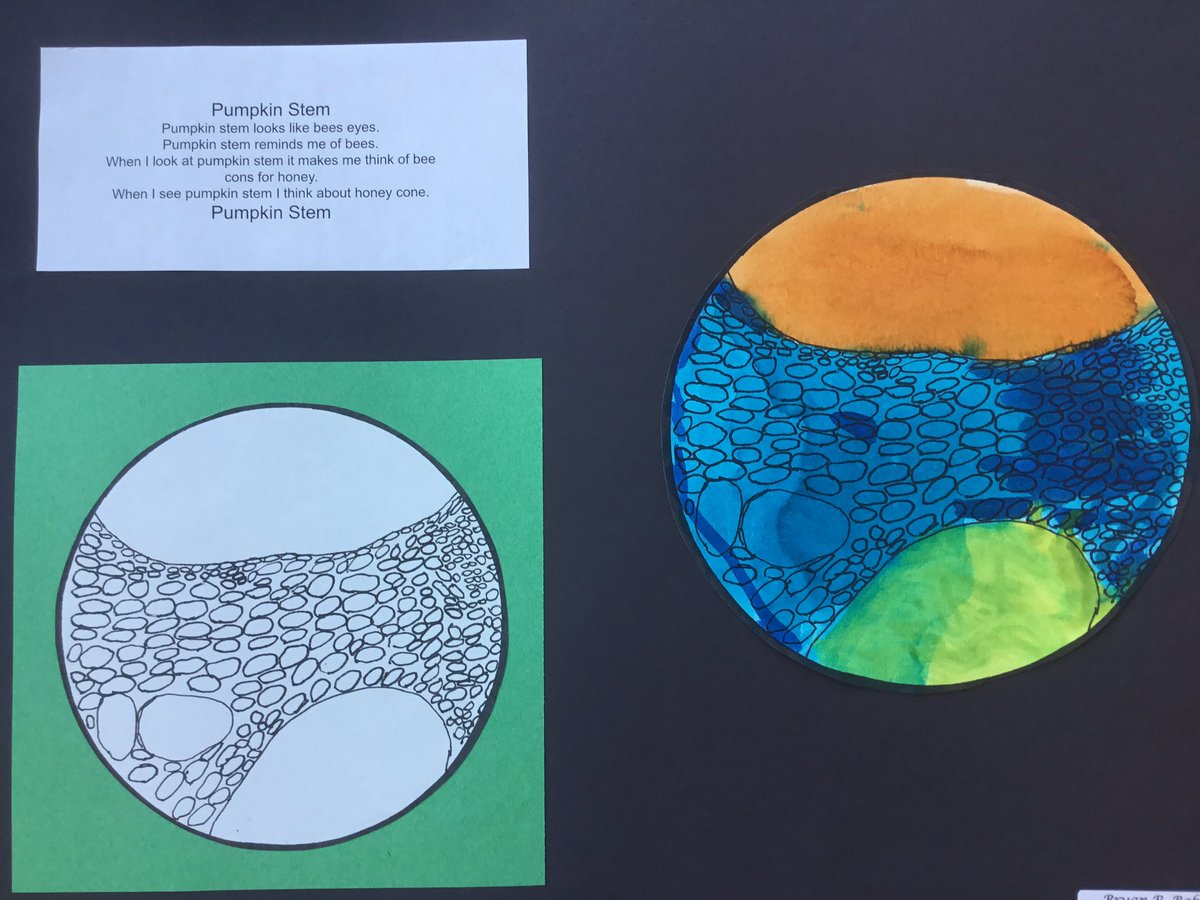 CougTeacher's tweet photo. Microscopes give kids a new point of view. Thanks to @HSF4kids , Imlay Elementary’s 6th graders are using valuable technology to produce this beautiful #STEAM work. The work shown represents students of all academic abilities. This work is accessible to every student. https://t.co/lXjr9CTDdc