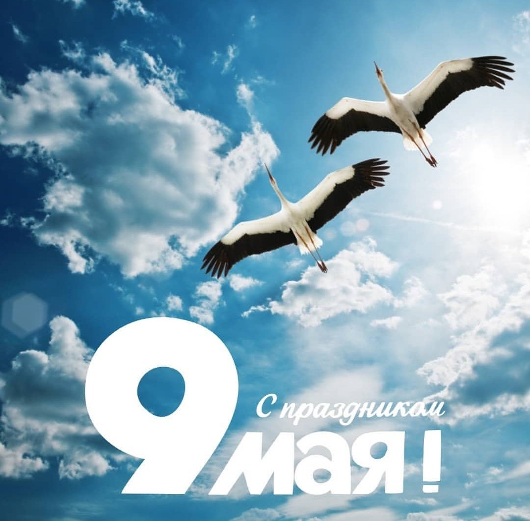 Мипннго неба надголовой