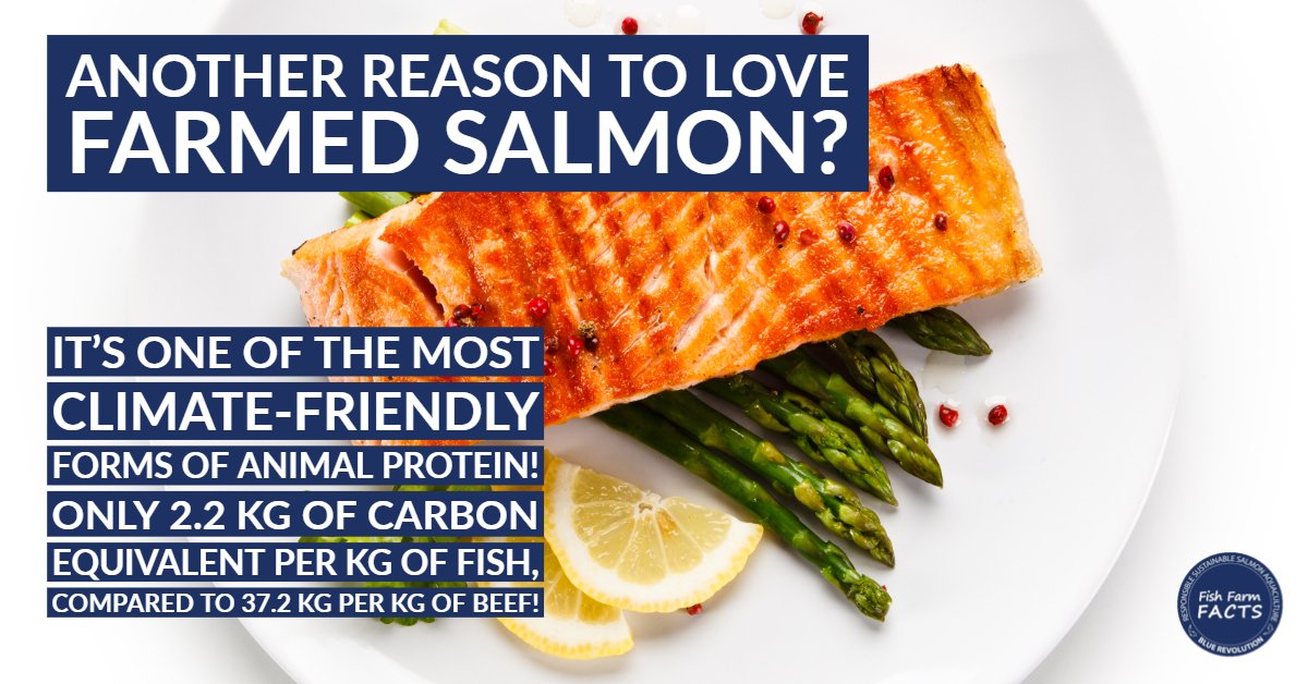 FishFarmFacts's tweet photo. Why is farm raised salmon good for the environment? Read the fact below! #FishFarmFacts #BCAquaculture #sustainableseafood https://t.co/wSxBEgn4Ni