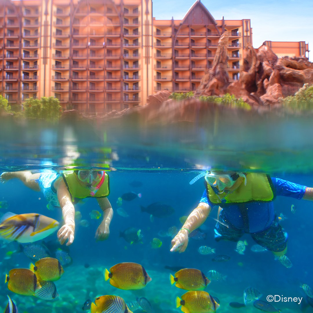 DisneyAulani's tweet photo. The waters shimmer and sparkle in a collection of colors. Wonder at the legendary beauty of nature. #DisneyAulani #RainbowReef https://t.co/XtcdVNxWer