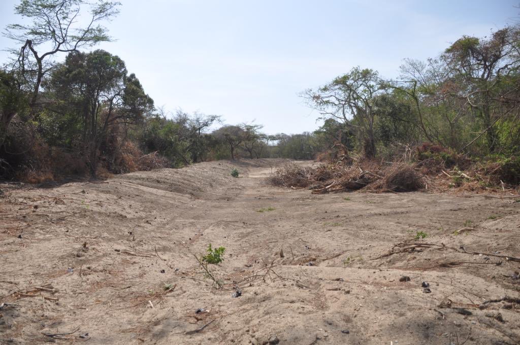 VICTOR POLO R (@victorrpolo) on Twitter photo Por qué <a href="/MinAmbienteCo/">MinAmbiente Colombia</a> no se ha pronunciado sobre estas invasiones y daño ecológico en sectores Bahía Concha en manos de privados?. <a href="/darcyquinnr/">Darcy Quinn</a> <a href="/ErikaFontalvo/">Erika Fontalvo</a> <a href="/FiscaliaCol/">Fiscalía Colombia</a> <a href="/carlosvives/">Carlos Vives</a> <a href="/IvanDuque/">Iván Duque 🇨🇴</a> <a href="/ProfeLRodriguez/">Luis Enrique Rodríguez López</a> <a href="/PGN_COL/">Procuraduría General de la Nación</a> <a href="/PatriPardo/">Patricia Pardo</a> Por qué <a href="/MinAmbienteCo/">MinAmbiente Colombia</a> no se ha pronunciado sobre estas invasiones y daño ecológico en sectores Bahía Concha en manos de privados?. <a href="/darcyquinnr/">Darcy Quinn</a> <a href="/ErikaFontalvo/">Erika Fontalvo</a> <a href="/FiscaliaCol/">Fiscalía Colombia</a> <a href="/carlosvives/">Carlos Vives</a> <a href="/IvanDuque/">Iván Duque 🇨🇴</a> <a href="/ProfeLRodriguez/">Luis Enrique Rodríguez López</a> <a href="/PGN_COL/">Procuraduría General de la Nación</a> <a href="/PatriPardo/">Patricia Pardo</a>