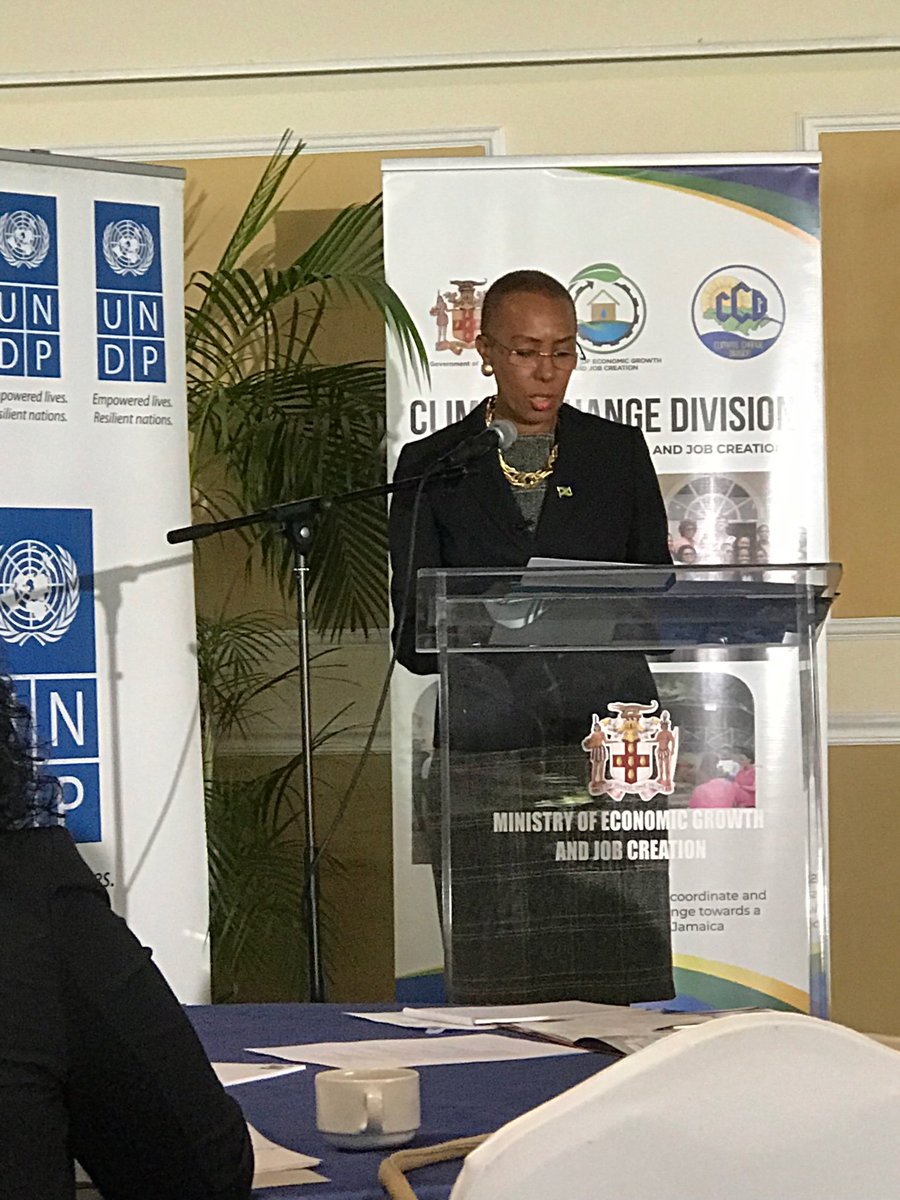 SiddierChambers's tweet photo. #uncutja2019 Jamaica Raising Ambition...connecting the dots! At the Uncut Conversations on Climate Change...solutions require public-private partnership to address challenges regarding water, fisheries, tourism and energy sectors. https://t.co/uQoOb64k7l