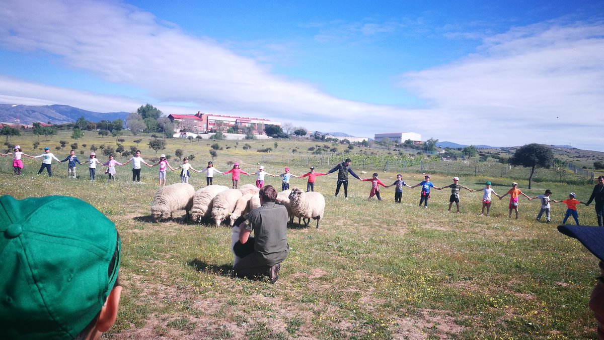 ACEColmenar's tweet photo. Disfrutamos una vez más de la #naturaleza en la #DehesaNavalvillar, junto con los peques del #CeipFuenteSanta en #ColmenarViejo.
Gracias de nuevo Fran, un placer poder "servirte". https://t.co/tUjc8hOXMr