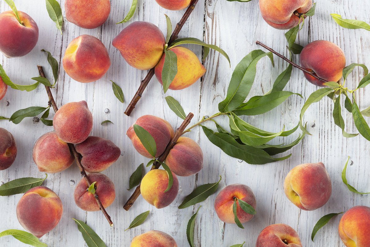 freshfromFL's tweet photo. Florida produce has a peach of our heart. What do you love about Florida fruit?
https://t.co/wJxqirVtru #followthefresh #freshfromflorida #peaches #florida #floridapeaches https://t.co/1TWHTjakgQ
