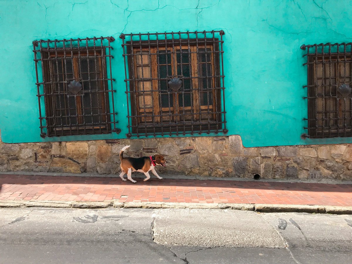 I100UCSG's tweet photo. (Sabías qué) La caracterización tipológica de la vivienda colectiva pública en Guayaquil entre el año 70 y 90, que fue la arquitectura moderna de Guayaquil. #ICienUCSG #LaCienciaMásCercaDeTi https://t.co/4wZDb2R0Ce