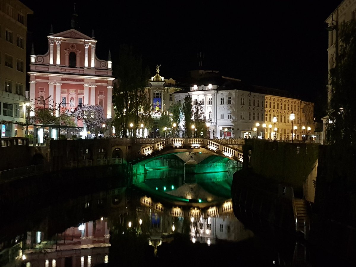 livvyswann's tweet image. #espid2019. Come for the bugs. Stay for the view! #Ljubljana