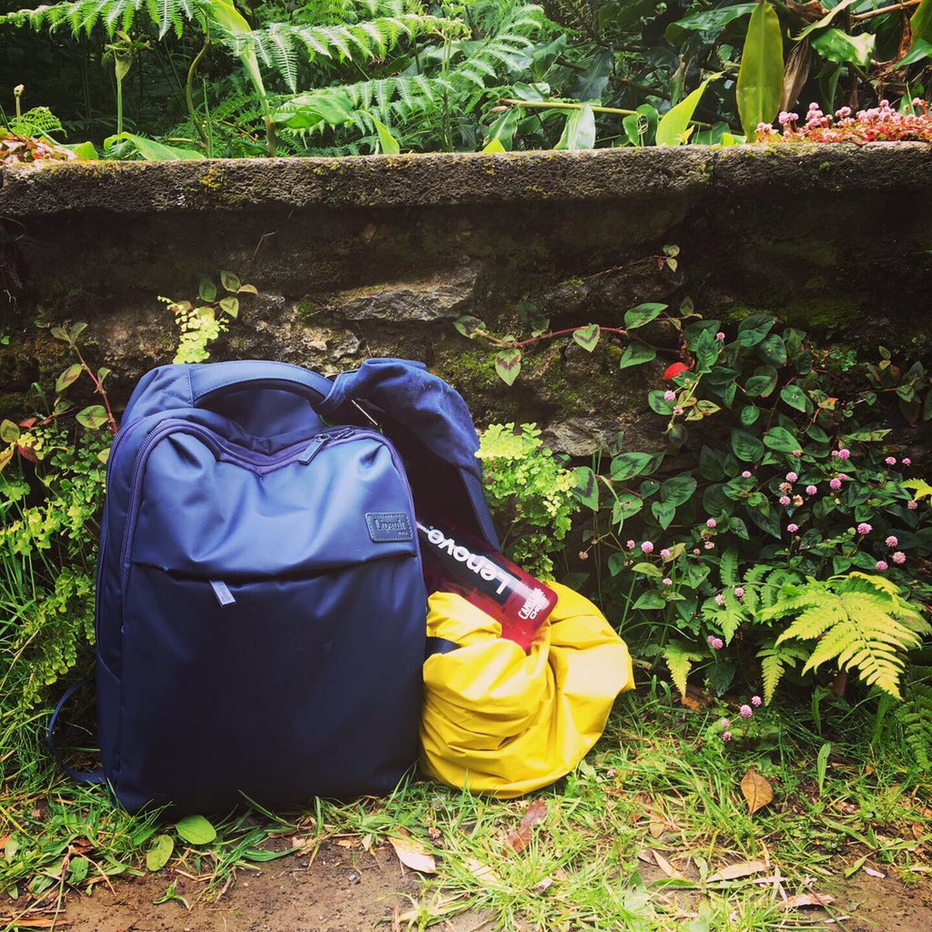 Susan Lowerre tweet media