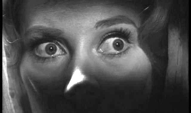 There is still time to register for tomorrow's "Fearing Your Next Audit?" Webinar for JD Edwards users.  Fri, May 10  attendee.gotowebinar.com/register/45339…
#jdedwards #jde #jdesecurity