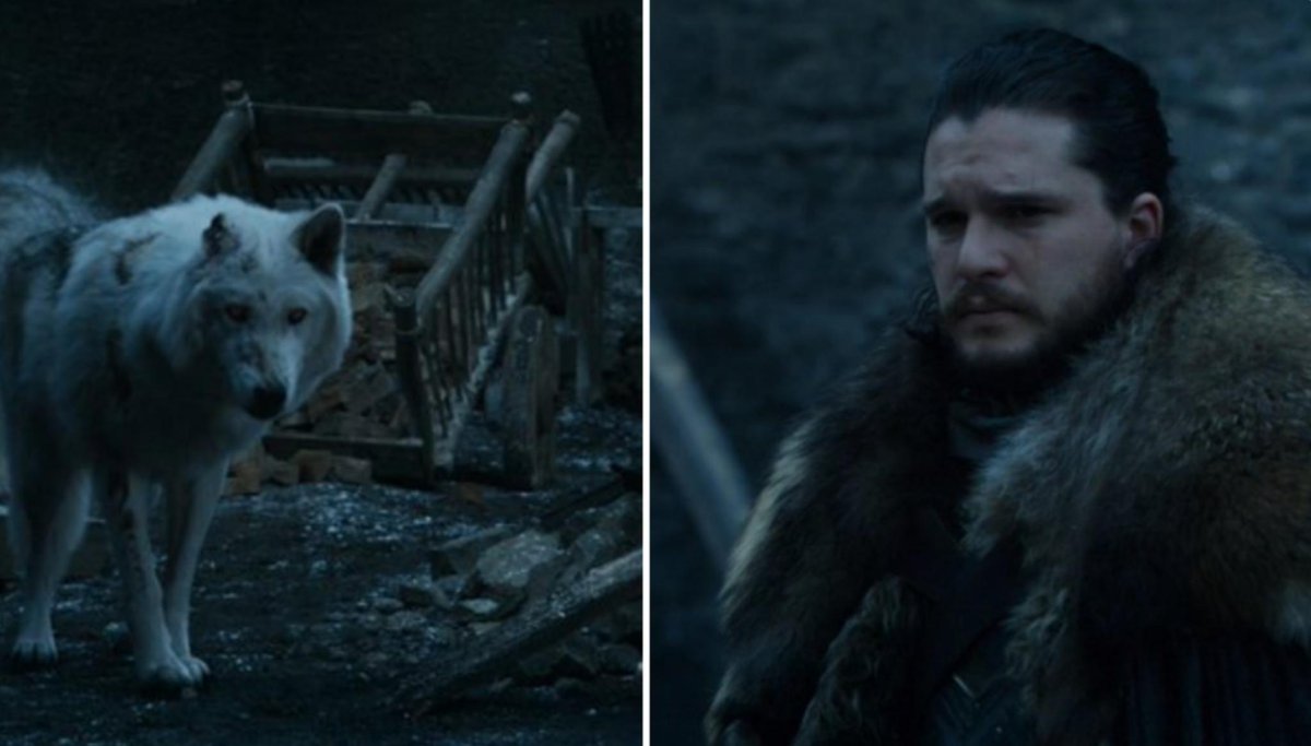 Me going to work and leaving my child at home.

#GOT #GameOfThrones ghost